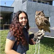 Profesora particular para niños con dificultades en las matemáticas